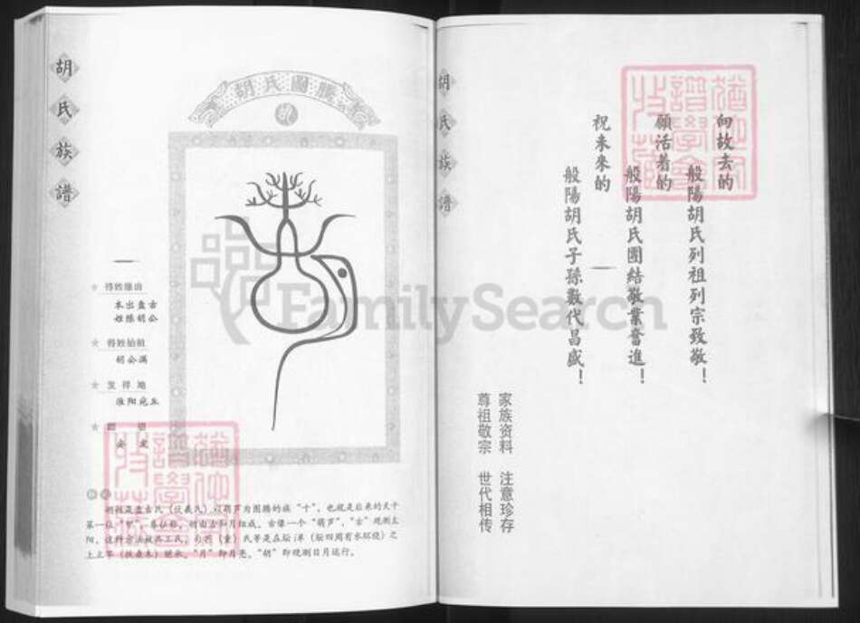 山东省淄博市淄川区胡氏族谱-般阳胡氏族谱.pdf电子版预览图2