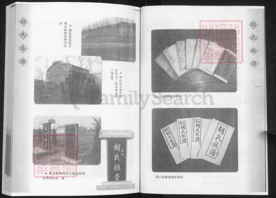 山东省淄博市淄川区胡氏族谱-般阳胡氏族谱.pdf电子版预览图4