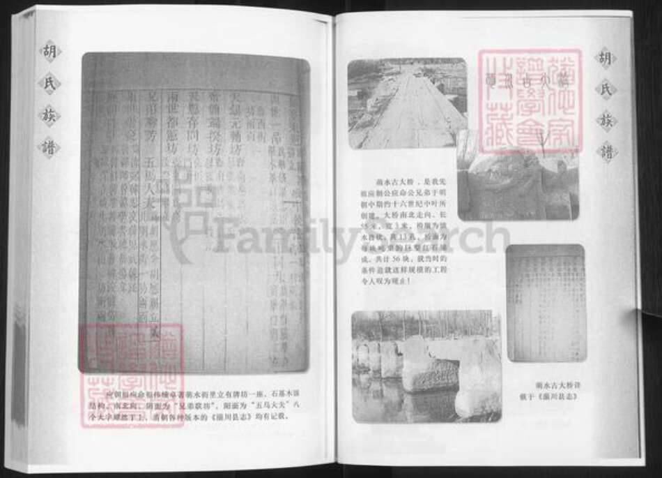 山东省淄博市淄川区胡氏族谱-般阳胡氏族谱.pdf电子版预览图5