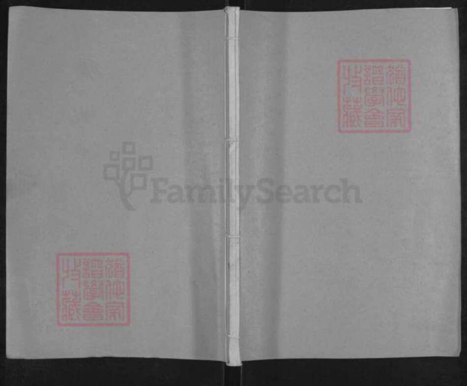 山东省临沂市兰陵县兰陵镇胡氏安定堂族谱-兰陵胡氏族谱.pdf电子版缩略图