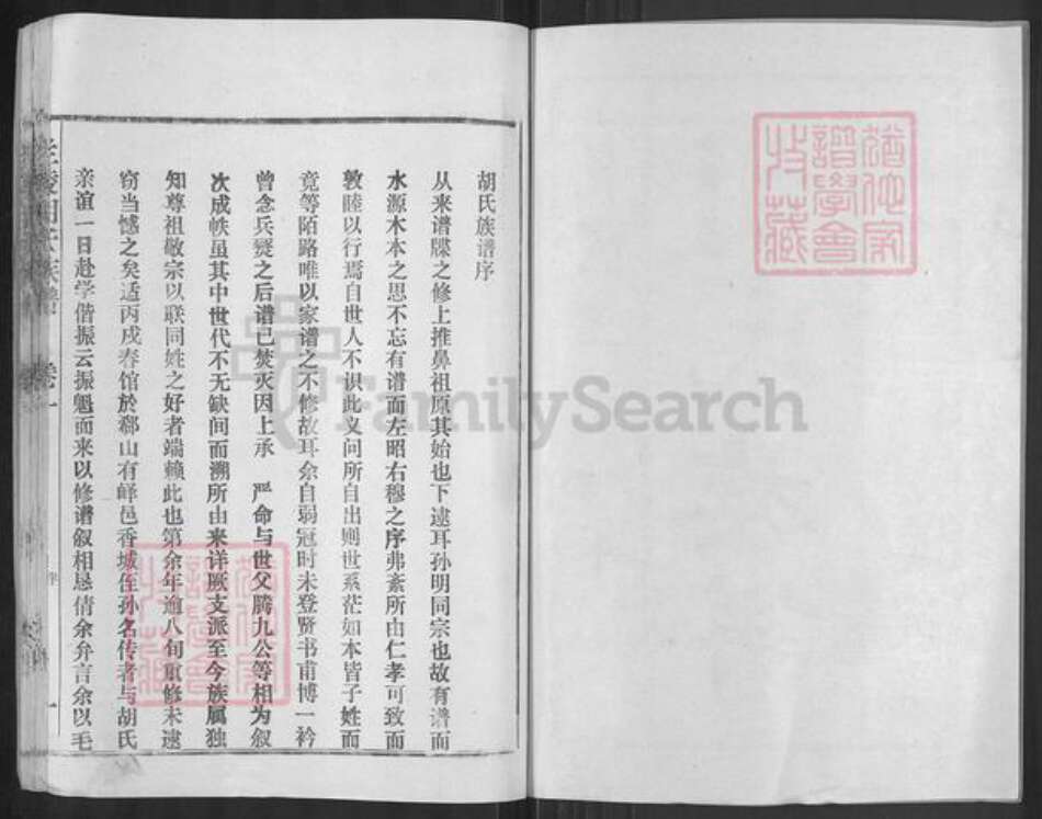 山东省临沂市兰陵县兰陵镇胡氏安定堂族谱-兰陵胡氏族谱.pdf电子版预览图2