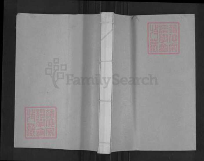 山东省枣庄市薛城区胡氏安定堂族谱-兰陵(今枣庄市)胡氏族谱.pdf电子版缩略图