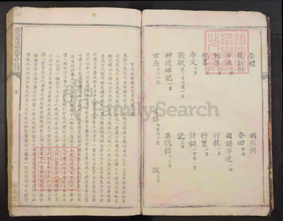 江西省赣州市兴国县胡氏族谱-兴邑严溪胡氏重修族谱[2册].pdf电子版预览图4