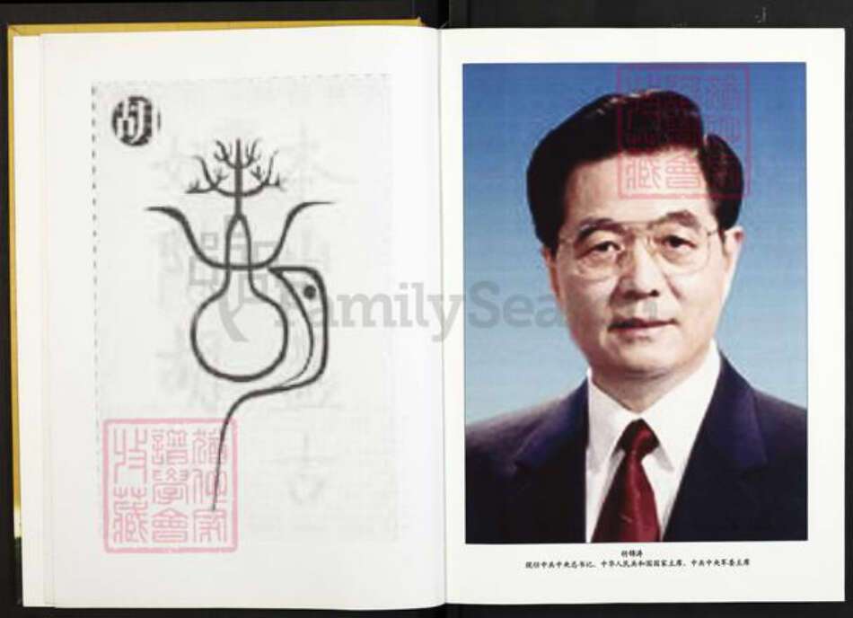 江西省抚州市南丰县市山镇胡氏族谱-世界胡氏通谱.江西南丰分谱.pdf电子版预览图4