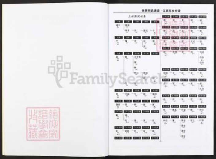 江西省抚州市东乡区胡氏族谱-世界胡氏通谱.江西东乡分谱.pdf电子版预览图3