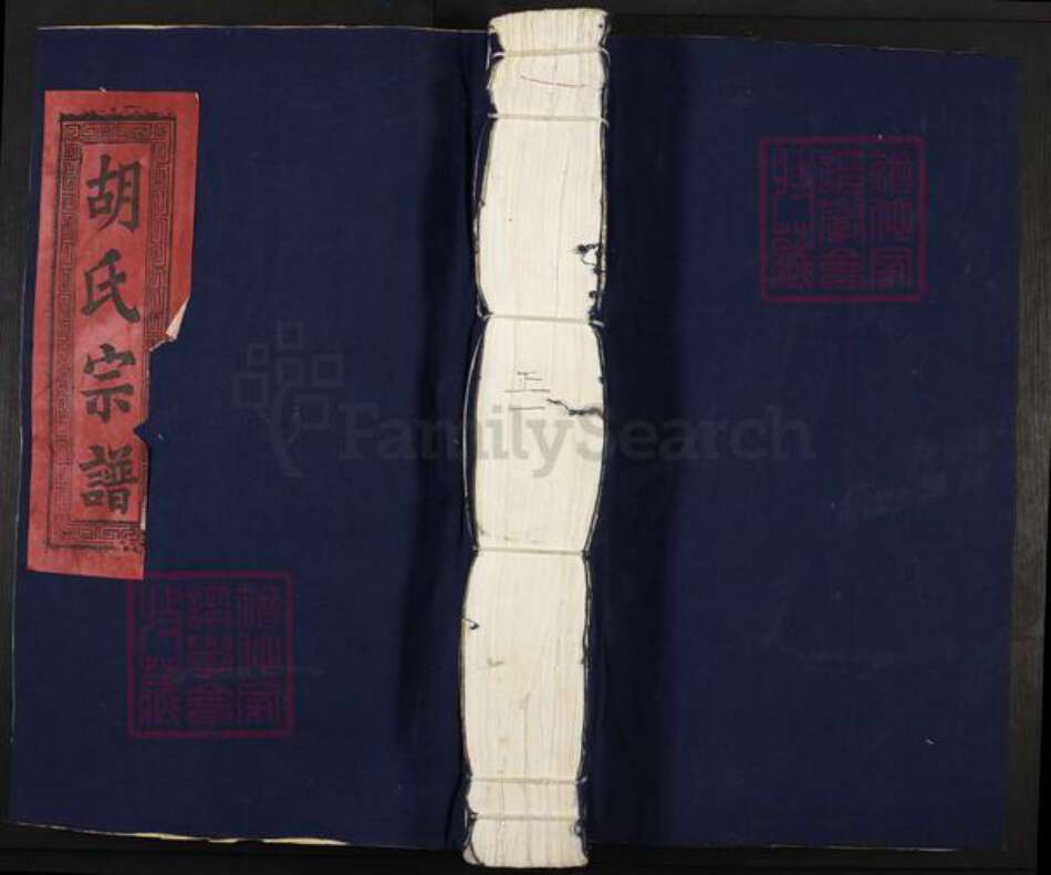 河北省胡氏黎阳堂族谱-胡氏宗谱.pdf电子版缩略图