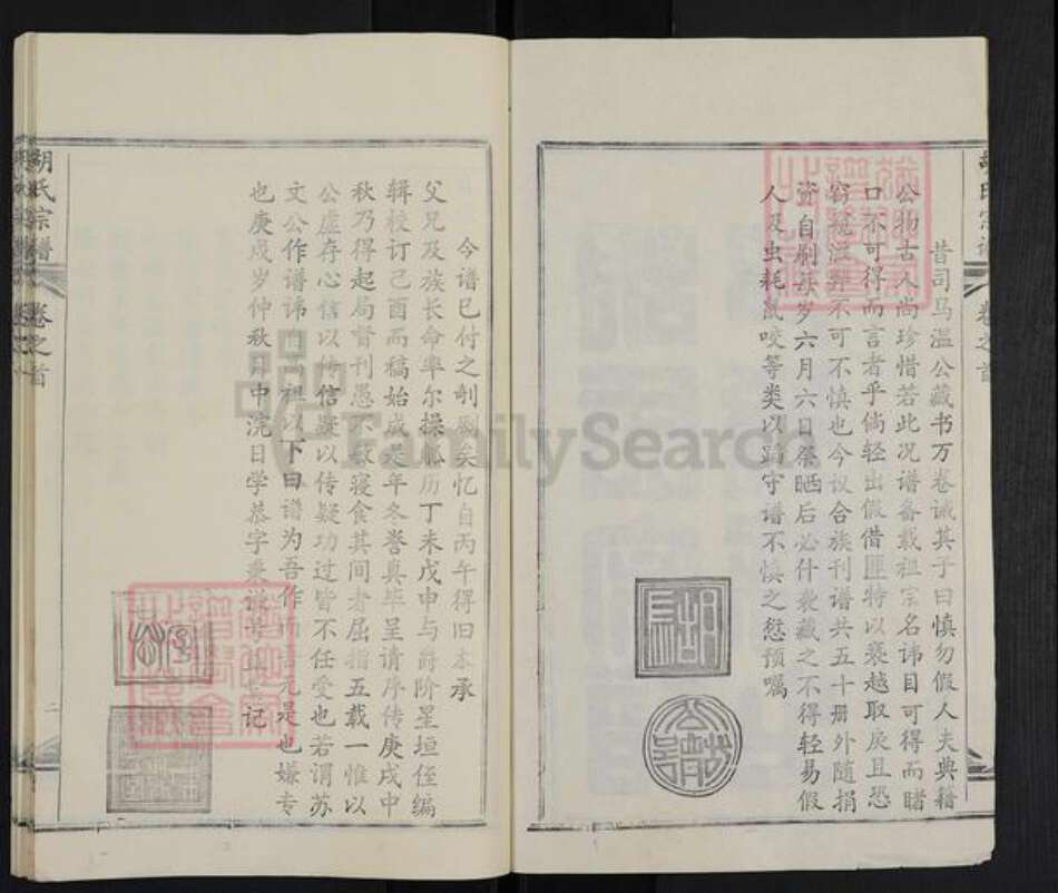 湖北省武汉市黄陂区六指街道胡氏族谱-胡氏宗谱.pdf电子版预览图2