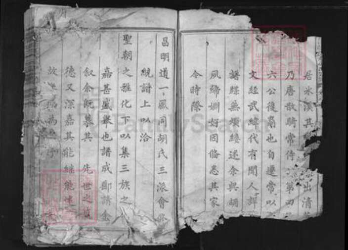 浙江省衢州常山县胡氏翼善堂族谱-常山胡氏六公派宗谱.pdf电子版预览图2