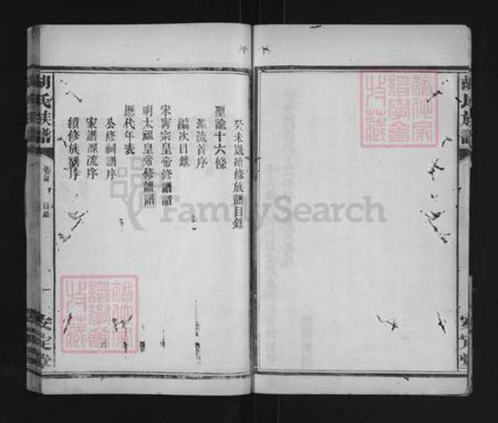 湖南省常德市武陵区胡氏安定堂族谱-胡氏族谱.pdf电子版预览图4