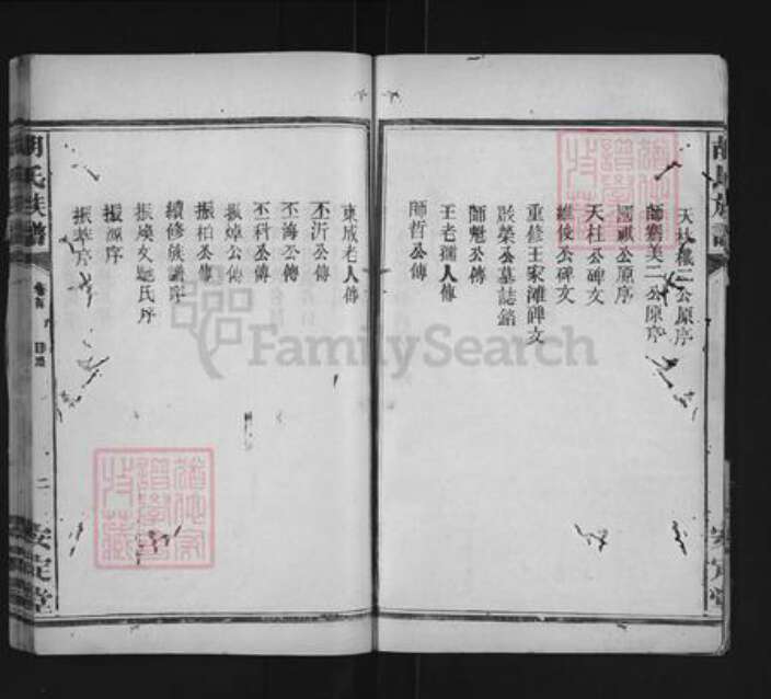 湖南省常德市武陵区胡氏安定堂族谱-胡氏族谱.pdf电子版预览图5