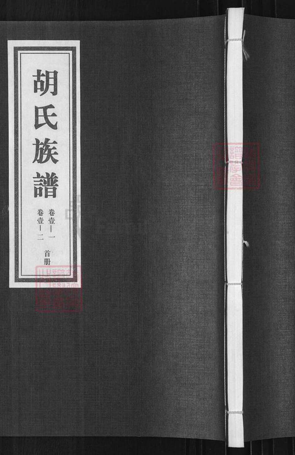 山东省临沂市临沭县胡氏族谱-胡氏族谱.pdf电子版缩略图