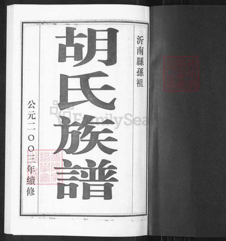 山东省临沂市临沭县胡氏族谱-胡氏族谱.pdf电子版预览图1