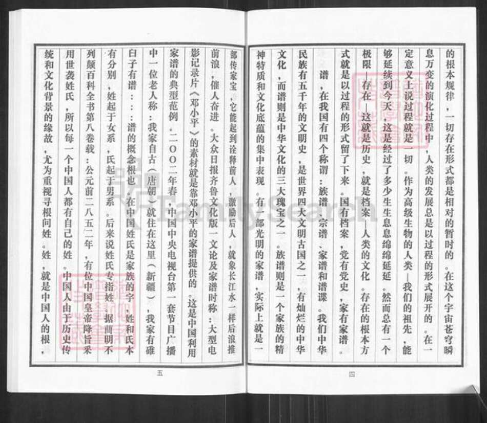 山东省临沂市临沭县胡氏族谱-胡氏族谱.pdf电子版预览图4