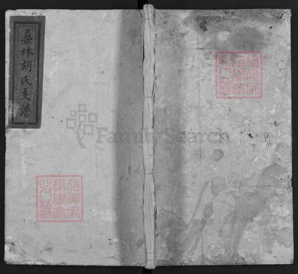 湖南省娄底市双峰县胡氏桑林堂族谱-桑林胡氏支谱.pdf电子版缩略图