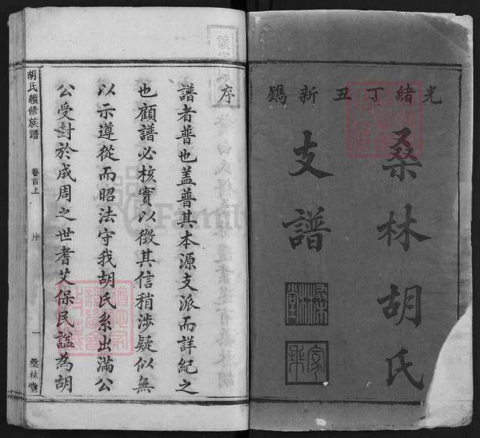 湖南省娄底市双峰县胡氏桑林堂族谱-桑林胡氏支谱.pdf电子版预览图1