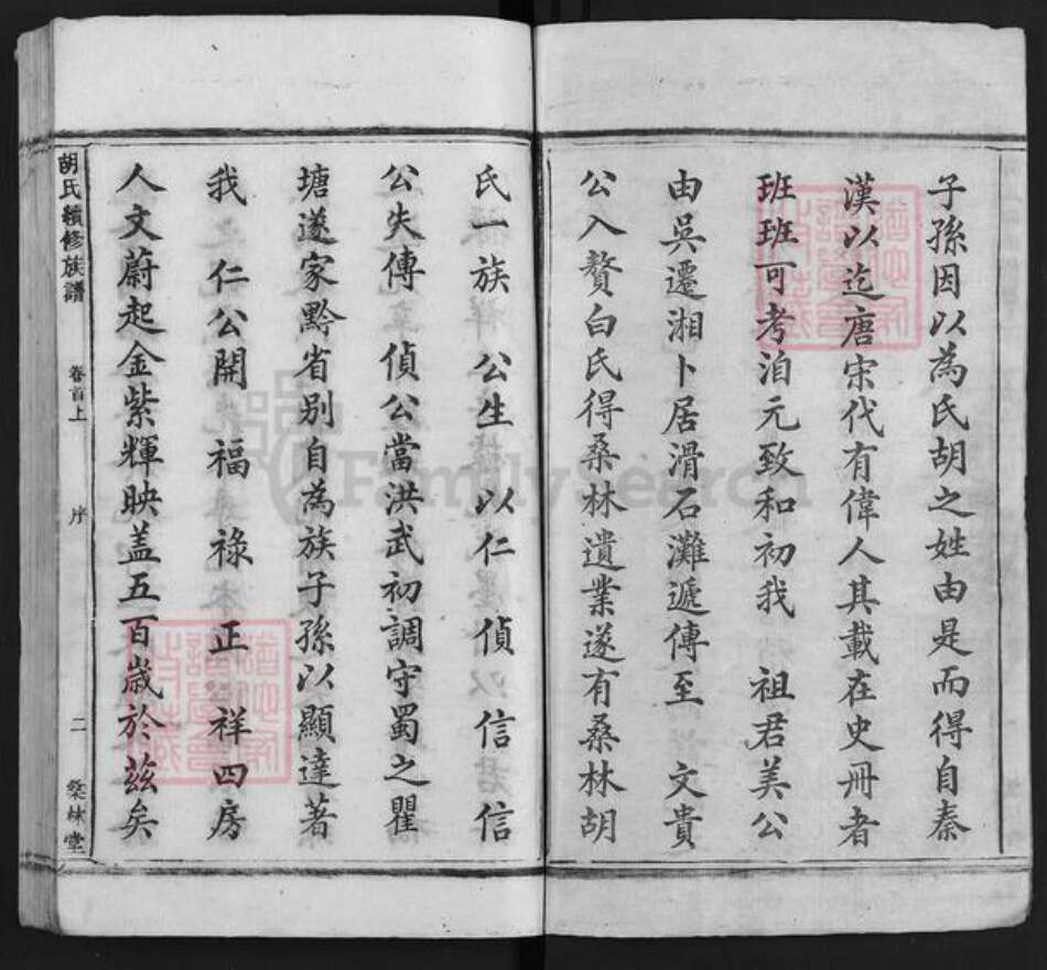 湖南省娄底市双峰县胡氏桑林堂族谱-桑林胡氏支谱.pdf电子版预览图2