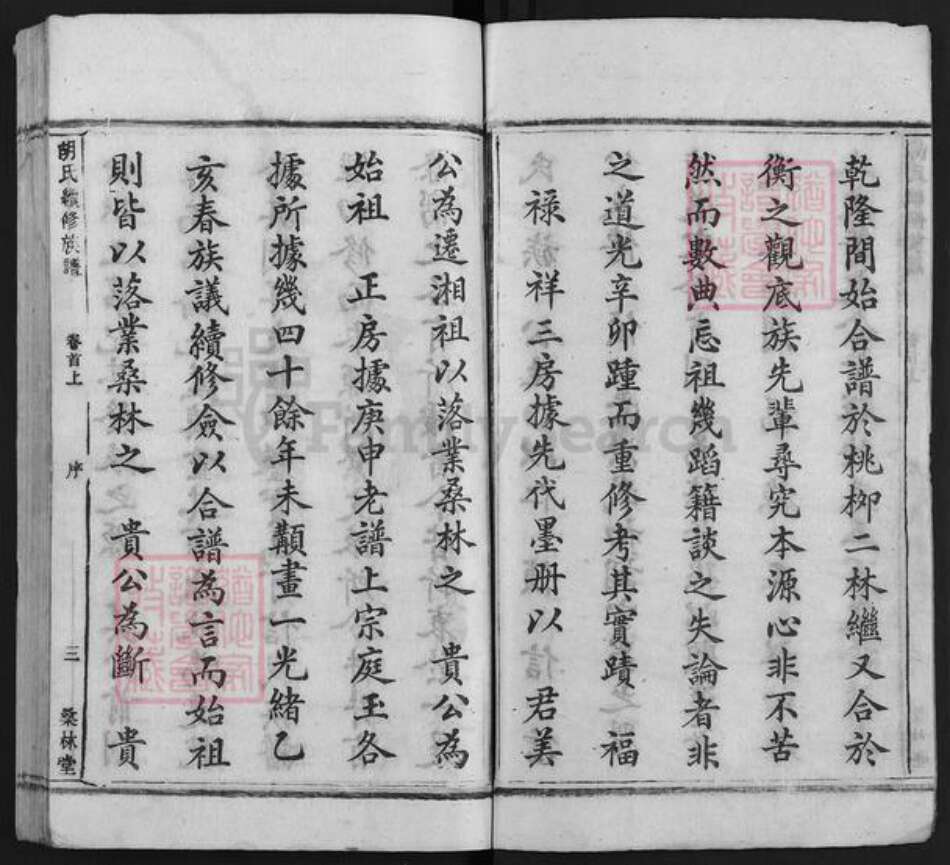 湖南省娄底市双峰县胡氏桑林堂族谱-桑林胡氏支谱.pdf电子版预览图3