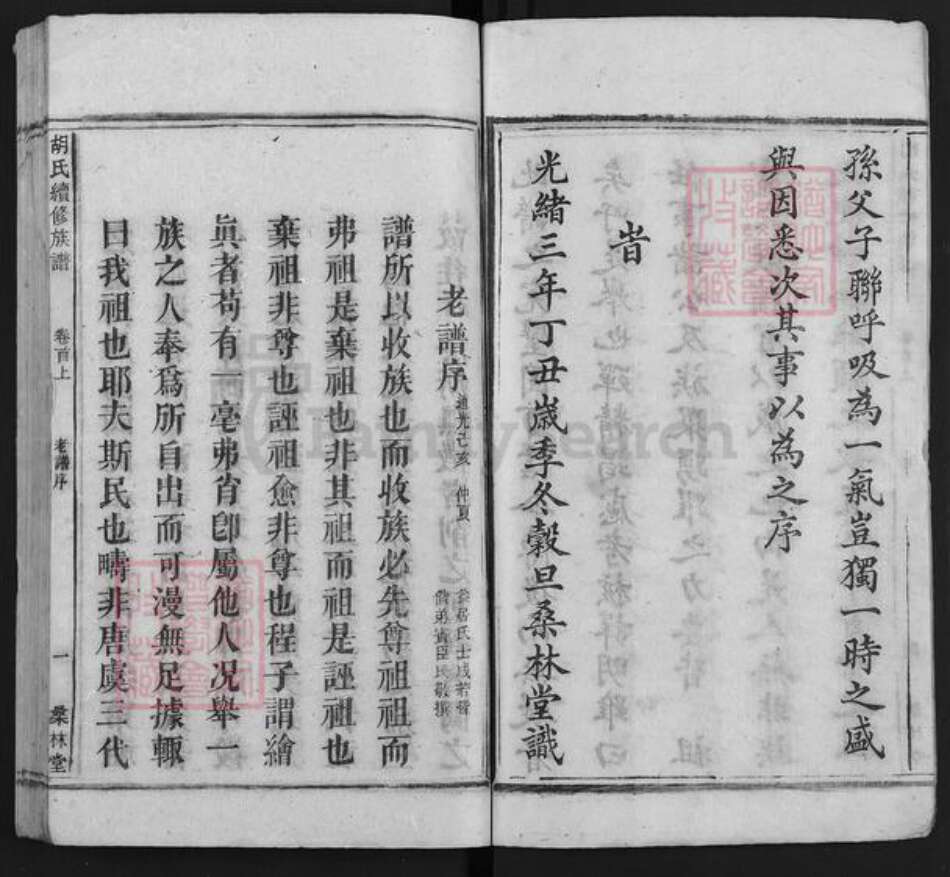 湖南省娄底市双峰县胡氏桑林堂族谱-桑林胡氏支谱.pdf电子版预览图5