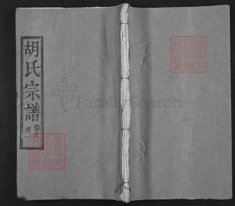 湖北省武汉市新洲区胡氏安定堂族谱-胡氏宗谱.pdf电子版缩略图