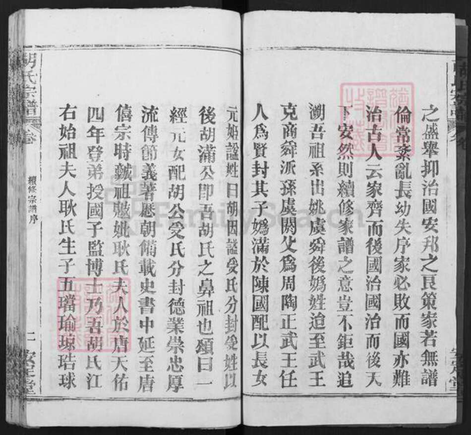 湖北省武汉市新洲区胡氏安定堂族谱-胡氏宗谱.pdf电子版预览图2