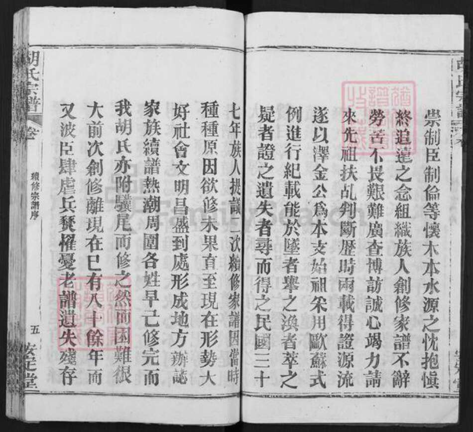 湖北省武汉市新洲区胡氏安定堂族谱-胡氏宗谱.pdf电子版预览图5