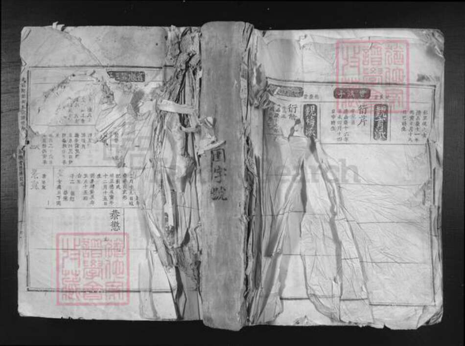 江西省吉安市吉安市吉安胡氏和乐堂族谱-北溪隈塘胡氏宗谱世系.pdf电子版缩略图