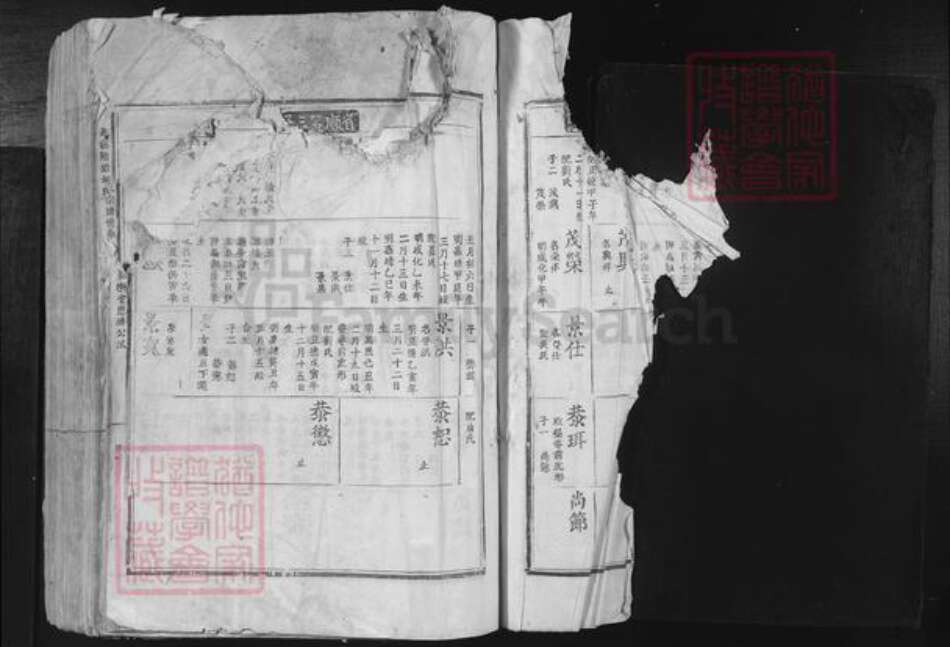 江西省吉安市吉安市吉安胡氏和乐堂族谱-北溪隈塘胡氏宗谱世系.pdf电子版预览图1