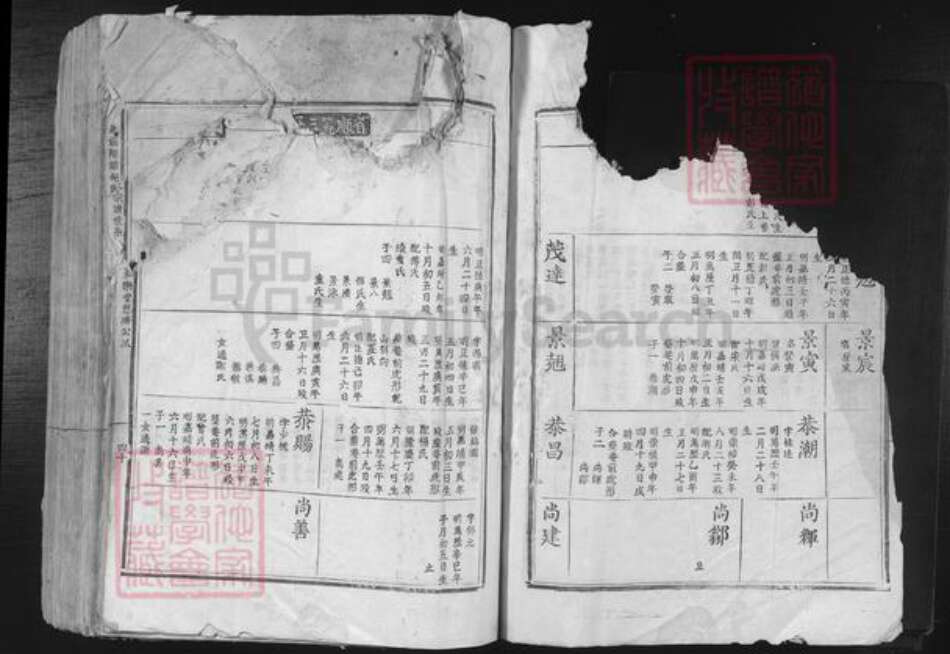 江西省吉安市吉安市吉安胡氏和乐堂族谱-北溪隈塘胡氏宗谱世系.pdf电子版预览图2