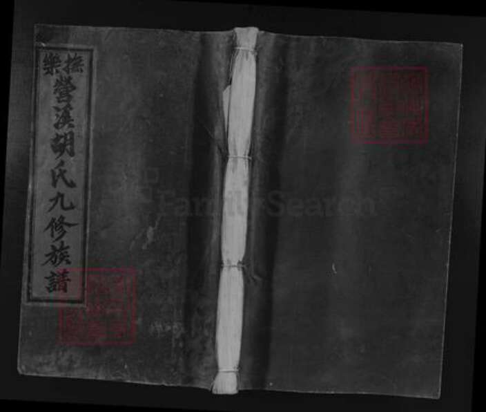 江西省抚州市乐安县南村乡胡氏族谱-抚乐营溪胡氏九修族谱.pdf电子版缩略图