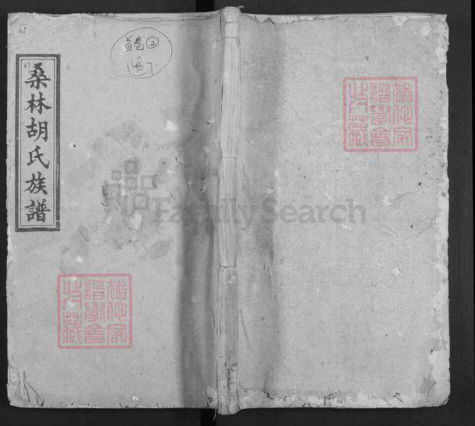 湖南省娄底市双峰县胡氏桑林堂族谱-桑林胡氏族谱.pdf电子版缩略图