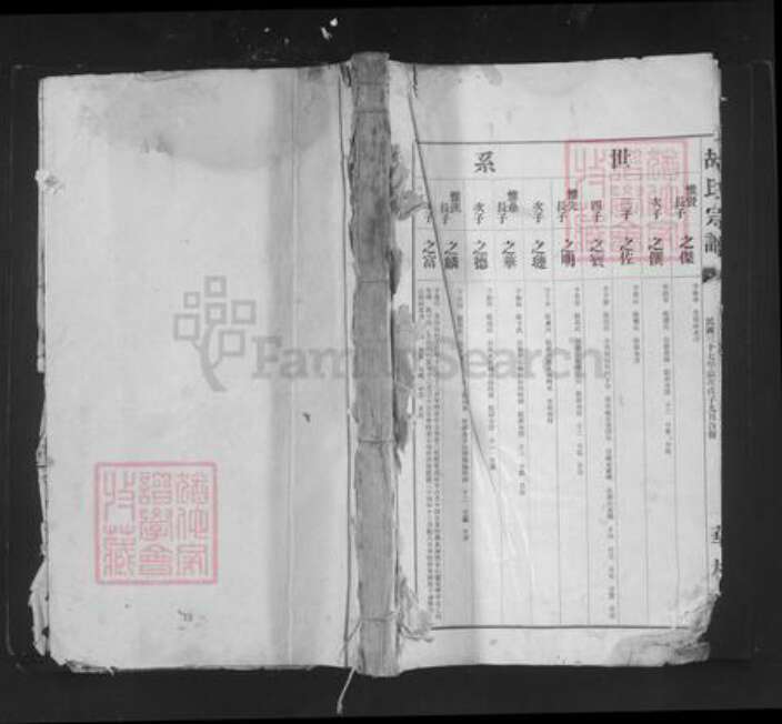 四川省广元市苍溪县白鹤乡胡氏华林堂族谱-胡氏宗谱.pdf电子版缩略图