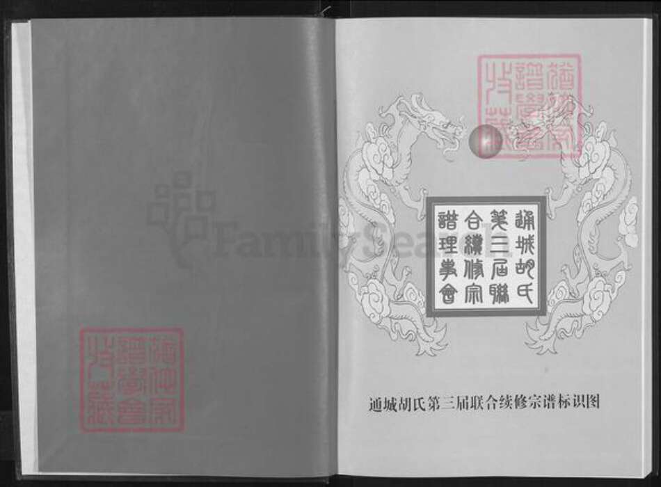 湖北省咸宁市通城县胡氏安定堂族谱-胡氏宗谱.pdf电子版预览图2