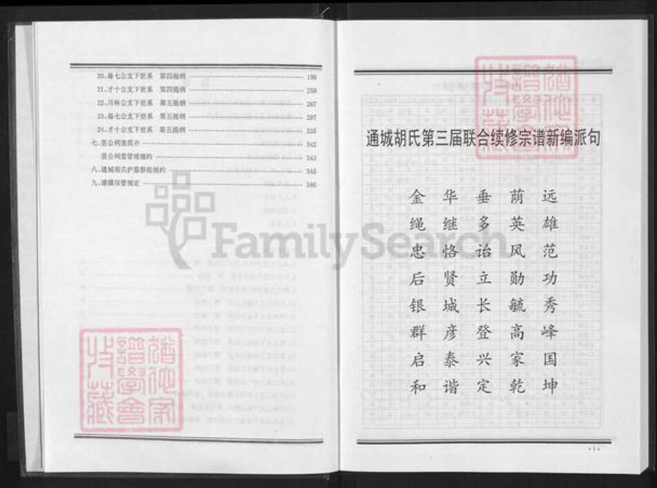 湖北省咸宁市通城县胡氏安定堂族谱-胡氏宗谱.pdf电子版预览图5