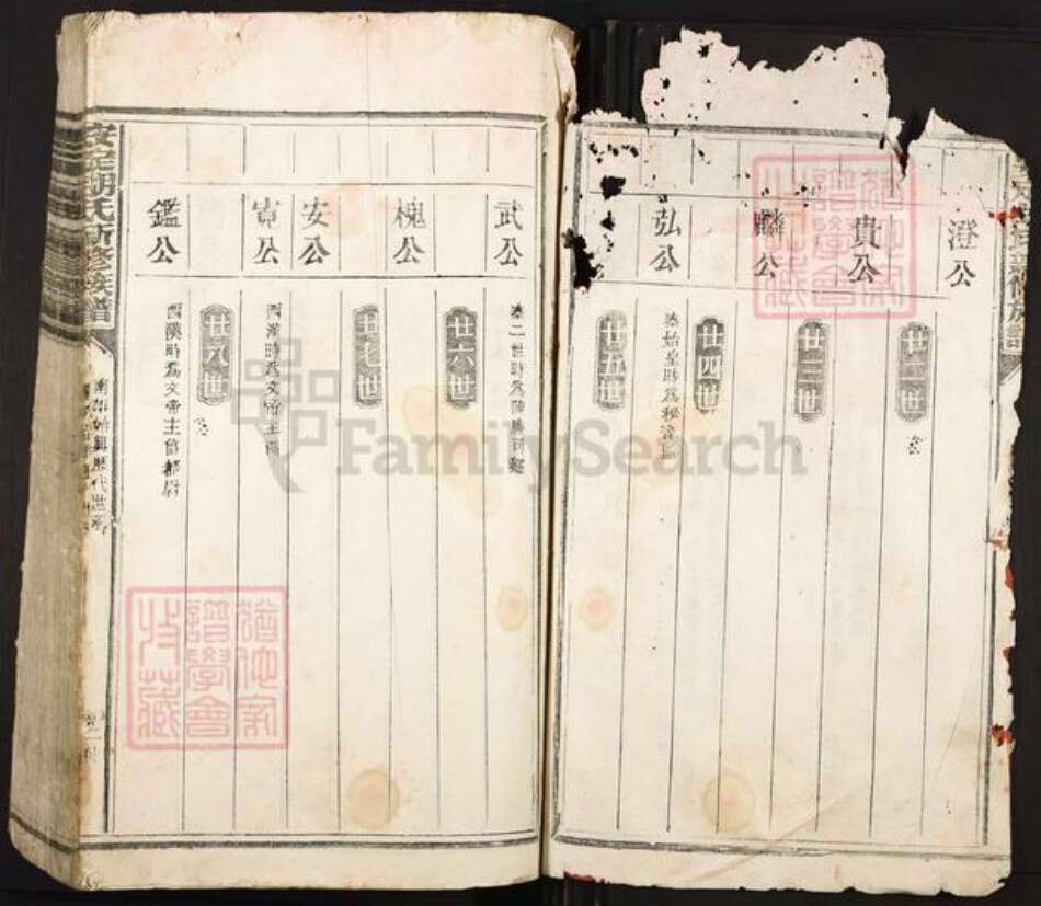 广东省韶关市南雄市珠玑镇胡氏族谱-安定胡氏新修族谱.pdf电子版预览图2