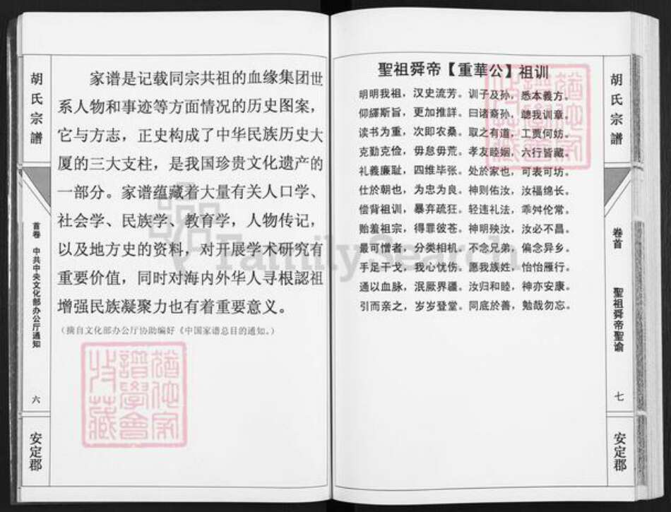 湖南省永州市道县梅花镇胡氏安定堂族谱-胡氏宗谱.pdf电子版预览图5