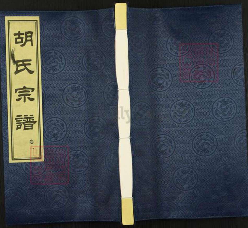 江苏省常州市胡氏乐善堂族谱-胡氏宗谱.pdf电子版缩略图