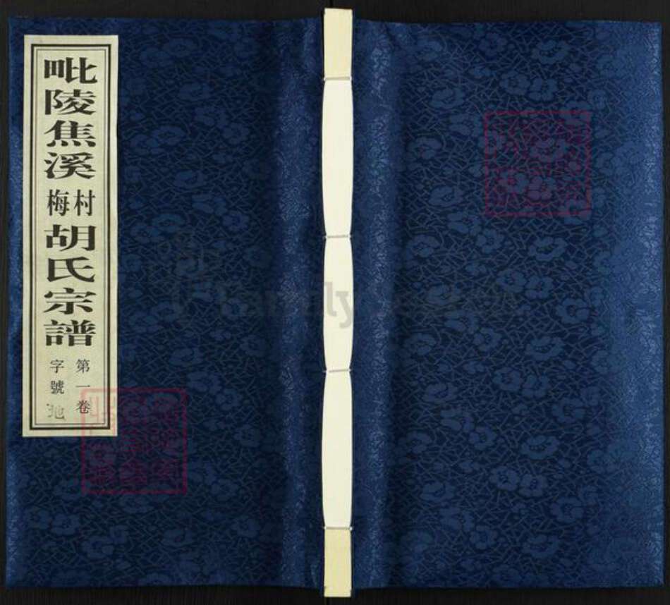 江苏省常州市武进县焦溪镇胡氏传麟堂族谱-毗陵焦溪梅村胡氏宗谱.pdf电子版缩略图