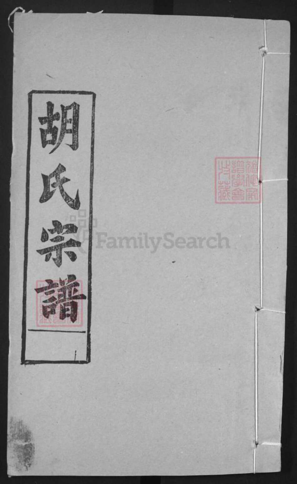 湖北省黄冈市红安县胡氏安定堂族谱-胡氏宗谱.pdf电子版缩略图