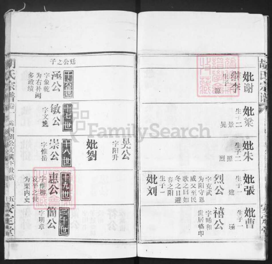 湖北省黄冈市红安县胡氏安定堂族谱-胡氏宗谱.pdf电子版预览图5