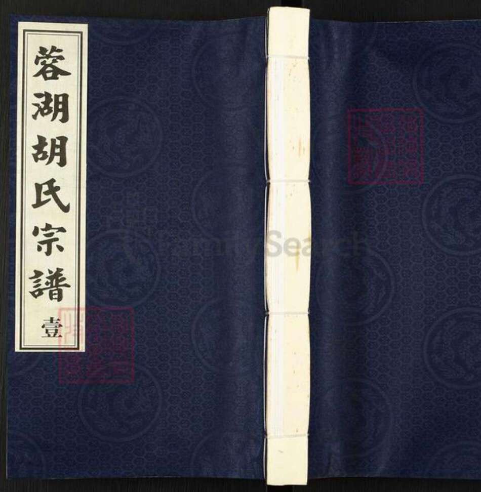 江苏省常州市武进县胡氏经义堂族谱-蓉湖胡氏宗谱.pdf电子版缩略图