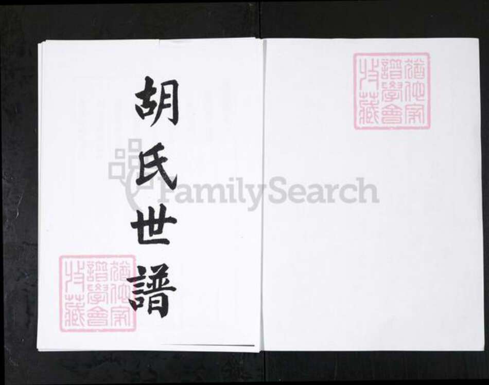 山东省淄博市桓台县胡氏族谱-桓台胡氏世谱 [3卷].pdf电子版预览图1