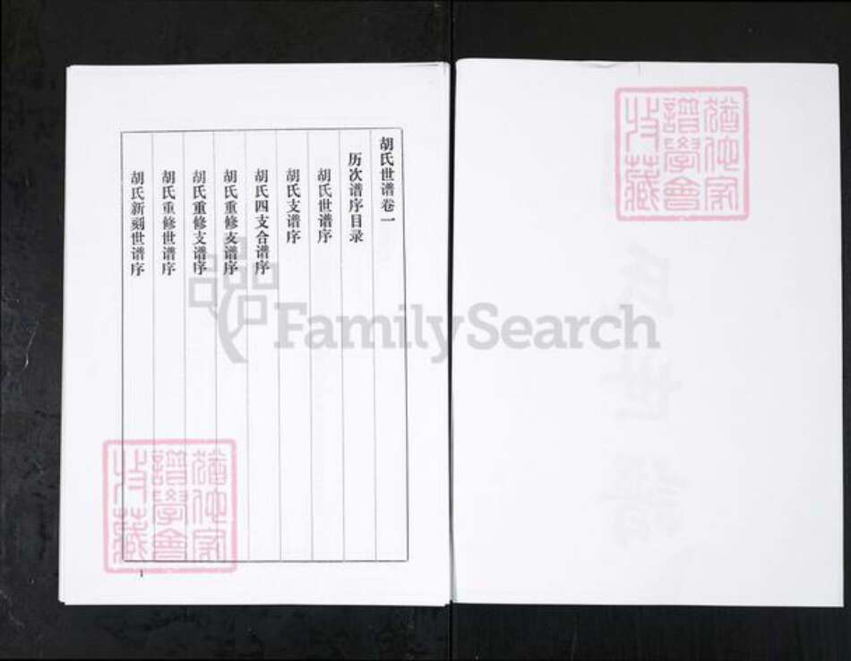 山东省淄博市桓台县胡氏族谱-桓台胡氏世谱 [3卷].pdf电子版预览图2