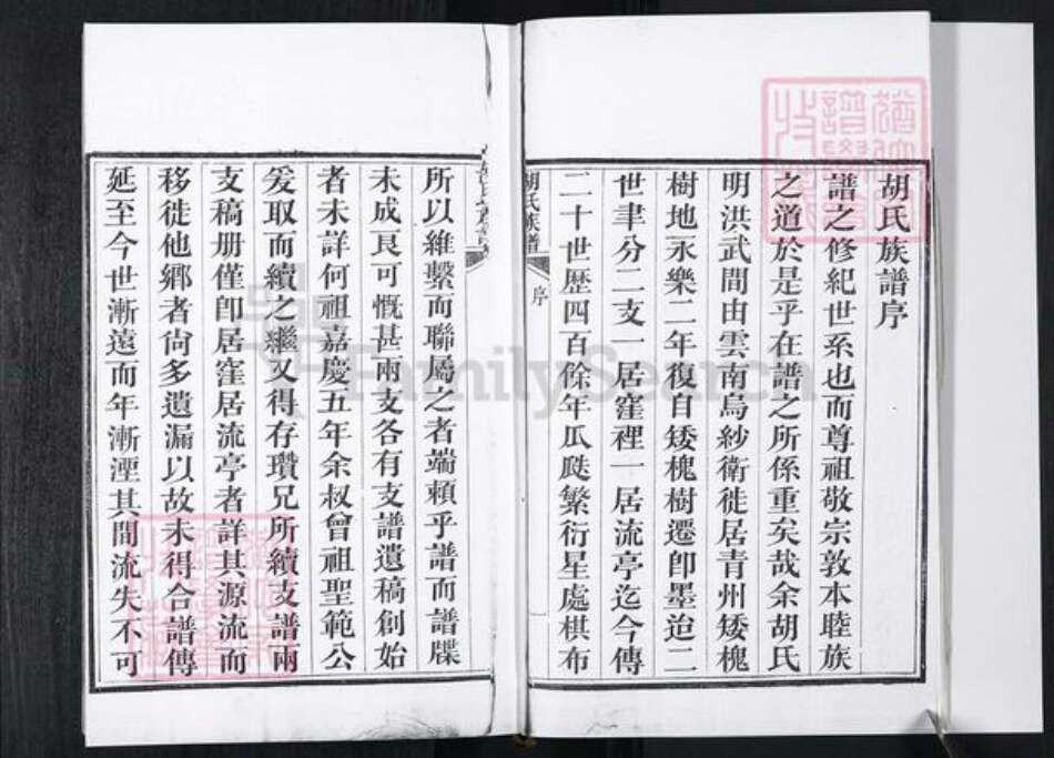 山东省青岛市胡氏族谱-即墨胡氏族谱.pdf电子版预览图5