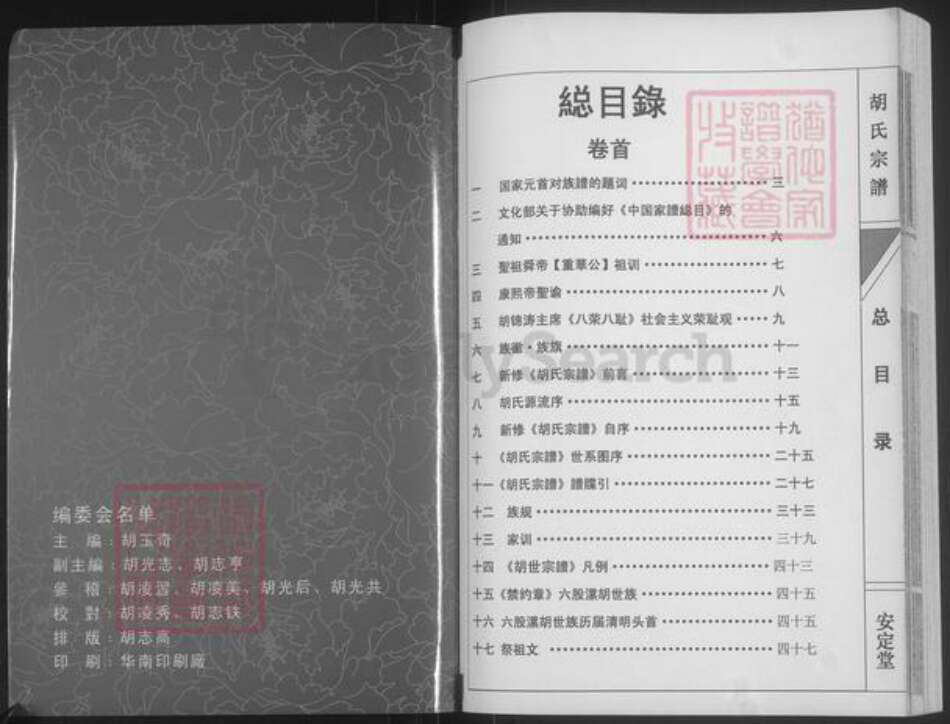 湖南省永州市道县梅花镇胡氏安定堂族谱-胡氏宗谱.pdf电子版预览图1