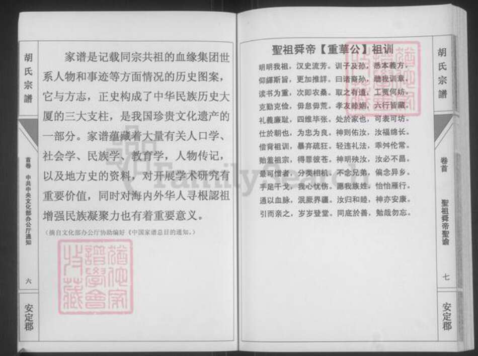 湖南省永州市道县梅花镇胡氏安定堂族谱-胡氏宗谱.pdf电子版预览图5