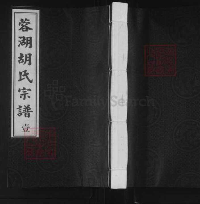 江苏省常州市武进县胡氏经义堂族谱-蓉湖胡氏宗谱.pdf电子版缩略图