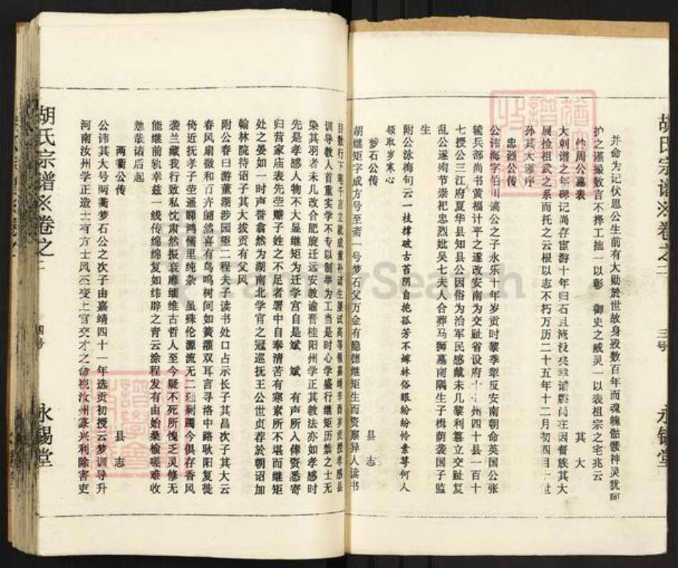 四川省眉山市东坡区胡氏永锡堂族谱-胡氏宗谱.pdf电子版预览图4