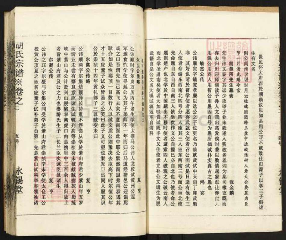 四川省眉山市东坡区胡氏永锡堂族谱-胡氏宗谱.pdf电子版预览图5