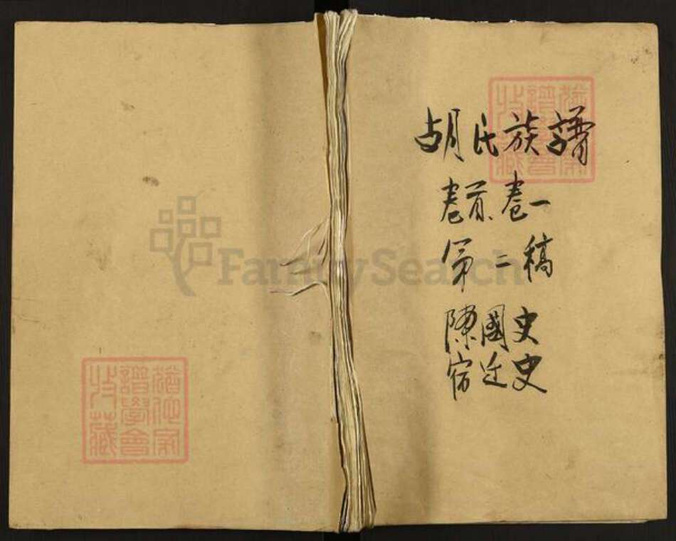 湖南省长沙市浏阳市中和镇胡氏奉先堂族谱-安定胡氏族谱.pdf电子版缩略图