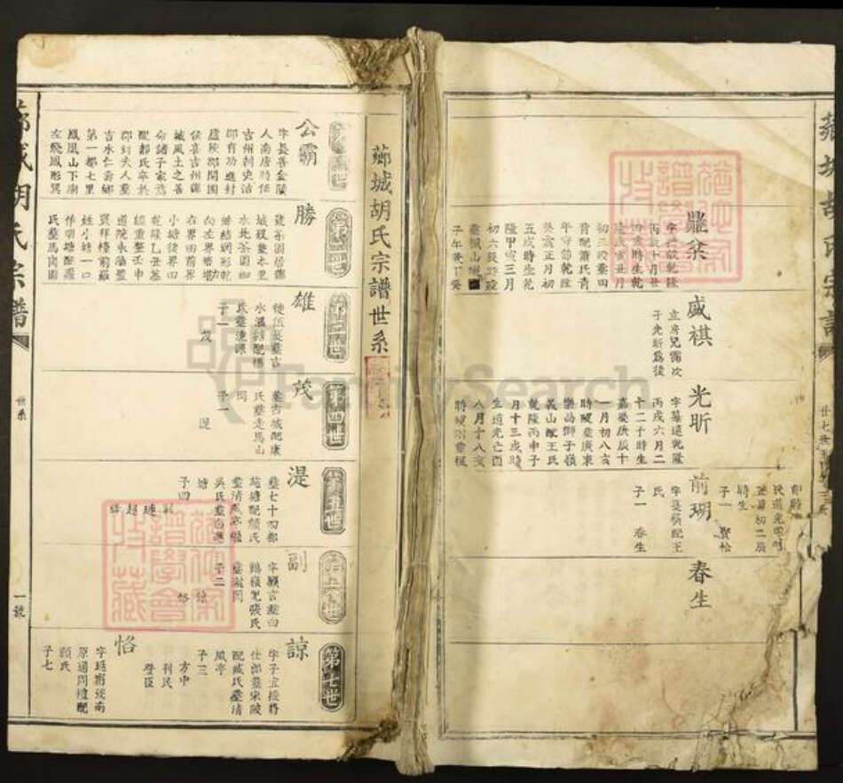 江西省吉安市青原区值夏镇胡氏族谱-芗城胡氏宗谱.pdf电子版缩略图